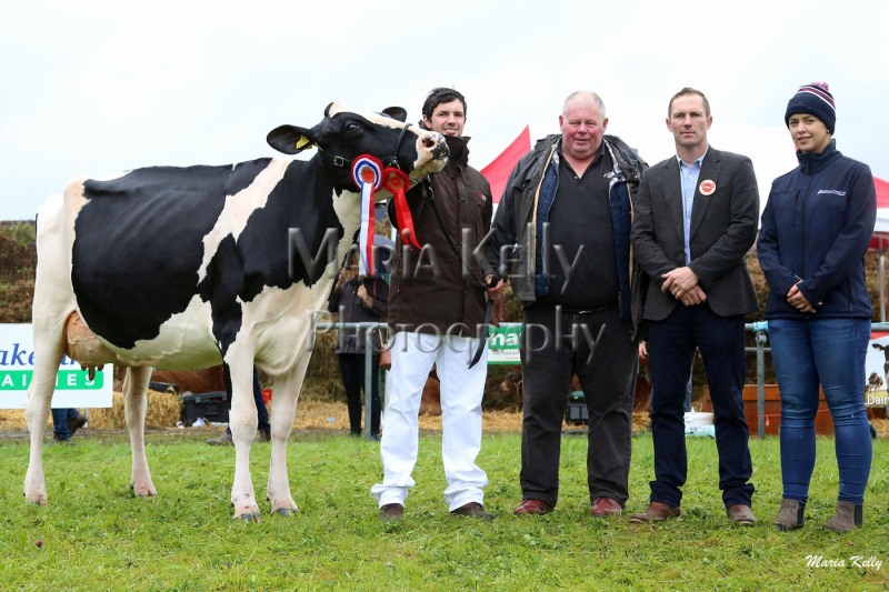 21-08-19, Virginia Show 2019 Senior Holstein Friesian Champion, D & K Boyd & Trevor Keith, Glaslough, Monaghan,  Handler Trevor Keith, David Boyd, Judge Richard Jones, Sponsor Lakeland Dairies. Photo Maria Kelly