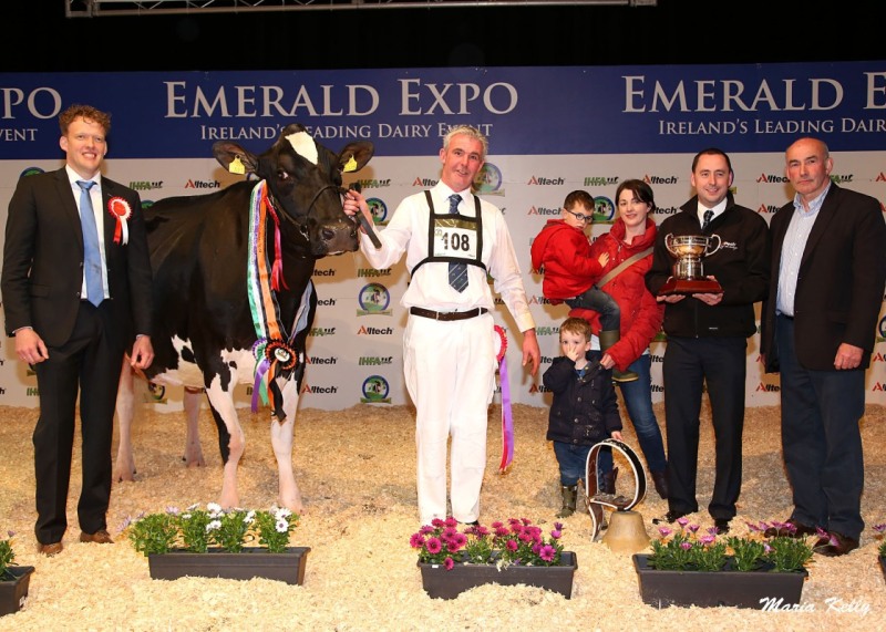 Emerald Expo 2014 All­tech Supreme Champion Laurelmore Duplex Impala bred & exhibited by John & Rickey Barrett & Sons, Togher, Cork. From left: Judge Nico Bons, Netherlands, Johnny Barrett with sons Jack, Charlie and wife Edel. Fergal McAdam, Sales Man­ager, Alltech Ireland and Tom Kelly