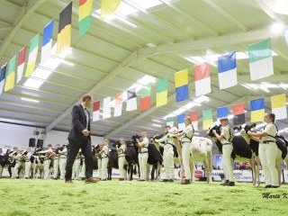 IMG_1885