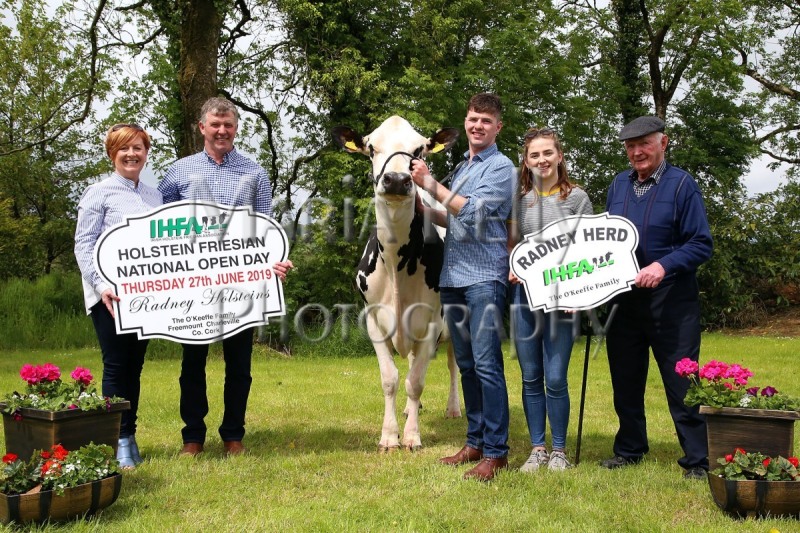 30-05-19, At the launch of the IHFA Open Day, Marie, Henry, Liam, Julie and Mossy O’Keeffe of Radney Herd, host family. The IHFA Open Day will be held at the Radney Herd, Freemount, Charleville, Co. Cork on Thursday 27th of June. All welcome. Photo Maria Kelly
