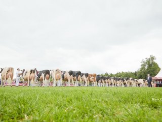 IMG_0457