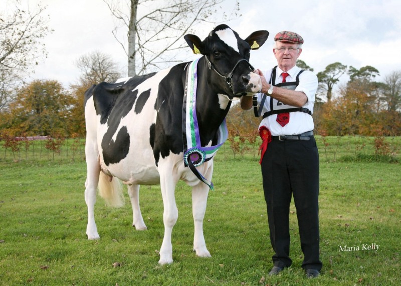 National-dairy-show-champion-2012