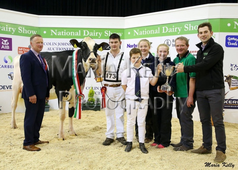 20/10/18 Edward Griffiths, Judge National Dairy Show with Lisnalty Megasire Rituel Intermediate Holstein Champion,(Handler Paul Murphy), pictured with owner Paul, Bill, Clair & Jane Hannan, and sponsor Philip Cocoman, Ornua.  Photo: Maria Kelly