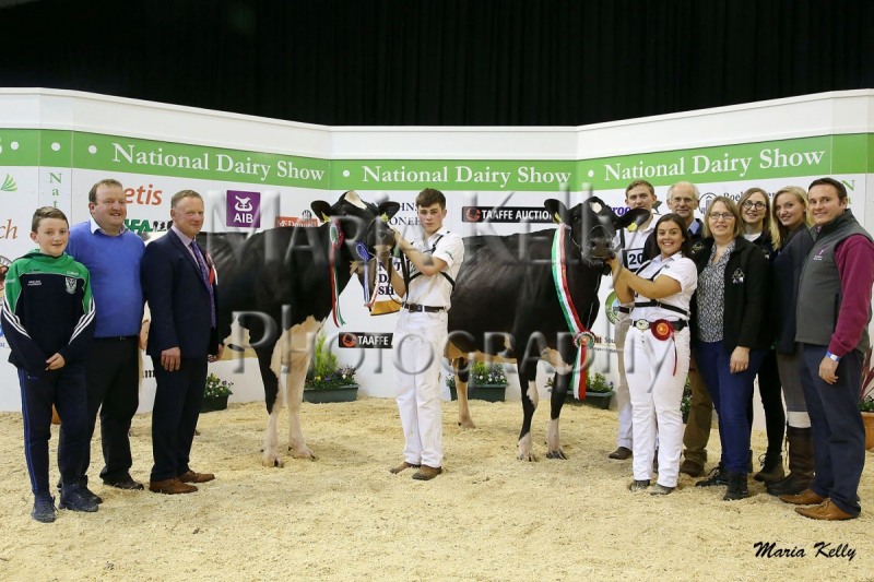 20/10/18 Edward Griffiths, Judge National Dairy Show with his confined championship, Ardskeagh Sni Sal, Reserve Confined Champion owned by John McNamara, Conor McNamara (handler: Jack O’Neill),  Eedy Alexander Acclaim ET Confined Champion, owned by Robert & Sylvia Helen,  (handler: Laura Cornthwaite), pictured are Jason, Tanya & Clodagh Helen and sponsor Donal Whelton, AIB.  Photo: Maria Kelly
