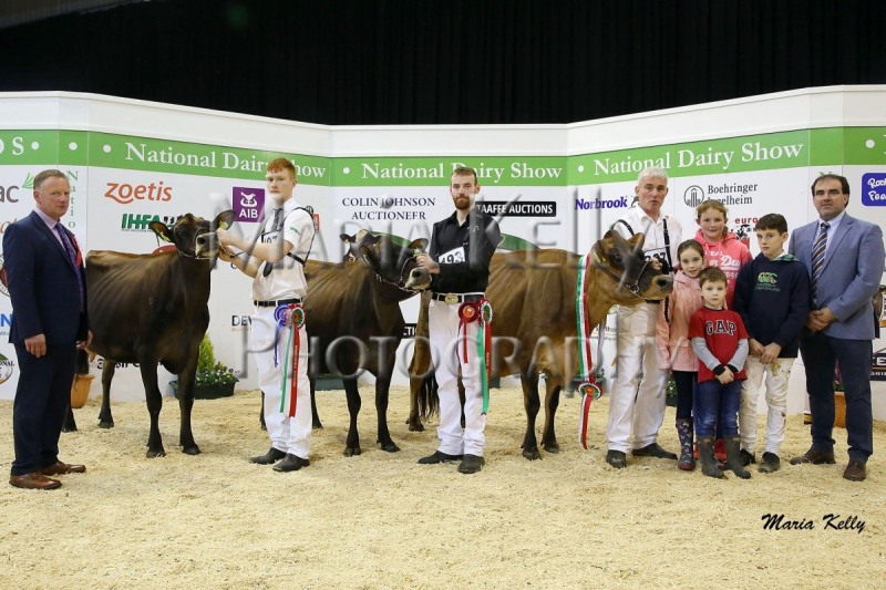 20/10/18 Edward Griffiths, Judge National Dairy Show with his Overall Jersey Championship, Ballyelan Tequila Louise, Honourable Mention, owned by Tom & Conor Lynch, Mullaghlands Pride Starlight, Reserve Jersey Champion, owned by Edwin Gaynor,  Laurelelm Glamour, Overall Jersey Champion, owned by Rickey & John Barrett, pictured with Julie, Rickey & John Barrett, Zoe O’Connor, and sponsor Adrian Corbett, McDonnell Feeds.  Photo: Maria Kelly
