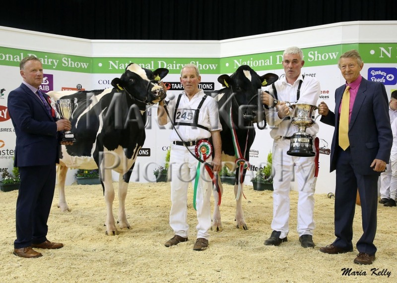 22/10/18 Edward Griffiths, Judge National Dairy Show with Kilwarden Windbrook Vix owned by Brochan Cocoman, Reserve Exhibitor Bred Champion, Laurelelm Fever Brilliant, Exhibitor Bred Champion owned by Rickey & John Barrett with sponsor Colin Johnson. Photo: Maria Kelly