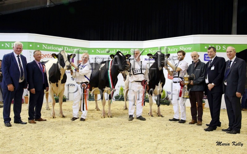 22/10/18 John Kirby, Director National Dairy Show, Edward Griffiths, Judge National Dairy Show with Drumlina Atwood Megan, Honourable  Mention, owned by Boyd / Greenan / O’Neill / Timlin / Moore (Handler Denis O’Neill), Laurelelm Fever Brilliant, Reserve Supreme Champion owned by Rickey & John Barrett, Milliedale Dusk Rhapsody Supreme Champion owned by Donal & Kathleen Neville (Handler Thomas Neville) with sponsor Stephen Cadogan, Irish Examiner, Seamus Crowley President Cork Holstein Club and Charles Gallagher, CE, IHFA.  Photo: Maria Kelly