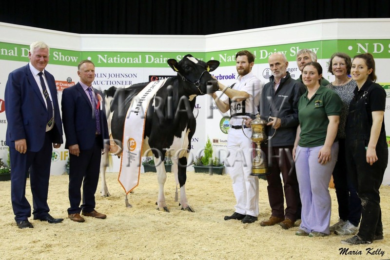 20/10/18, John Kirby Director of National Dairy Show, Edward Griffiths, Judge with the Irish Examiner National Dairy Show 2018 Supreme Champion Milliedale Dusk Rhapsody, owned by Donal & Kathleen Neville, pictured with their family Thomas, Ann and Catriona and sponsor Stephen Cadogan, Irish Examiner. Photo: Maria Kelly